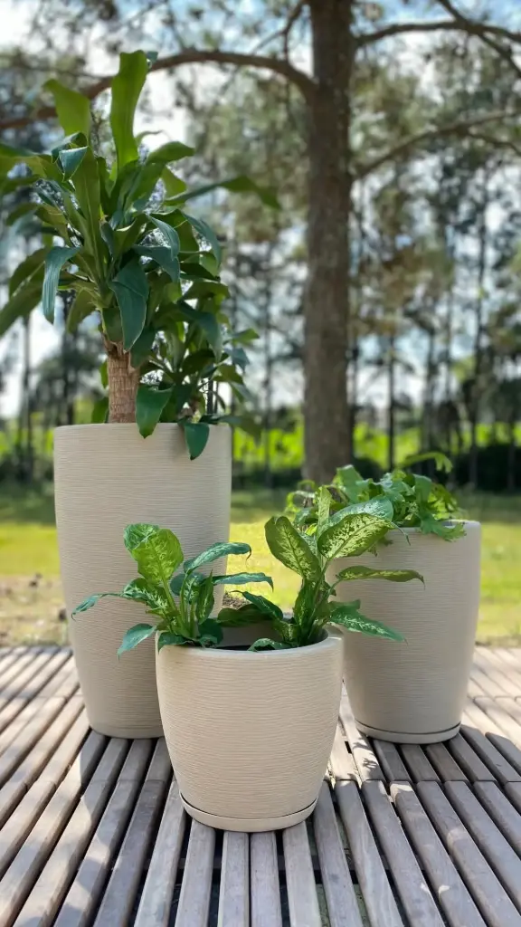 MACETA AMSTERDA GRAFIATO (BLANCO, 29X44)