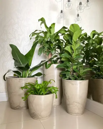 MACETA AMSTERDA MARMORATO