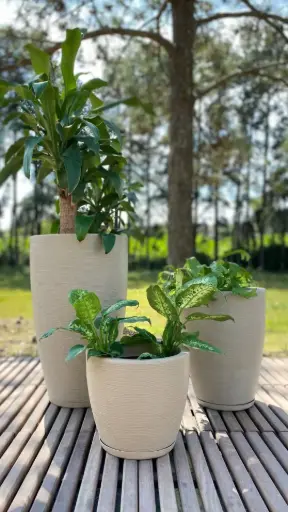 MACETA AMSTERDA GRAFIATO